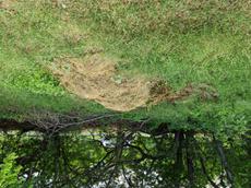 Picture of Depollutrix