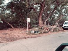 Picture of Depollutrix