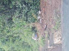 Picture of Depollutrix
