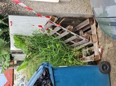 Picture of Depollutrix