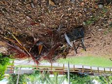 Picture of Depollutrix
