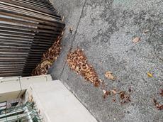 Picture of Depollutrix