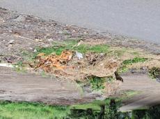 Picture of Depollutrix