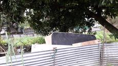 Picture of aulet