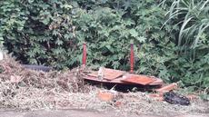 Picture of aulet