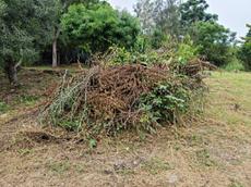Picture of Depollutrix