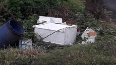 Picture of aulet