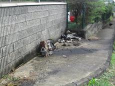Picture of Ti Tang'
