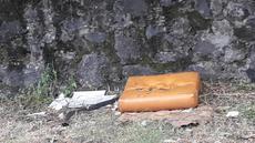 Picture of aulet