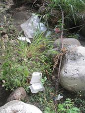 Picture of Ti Tang'
