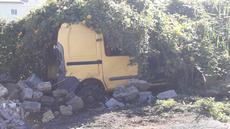 Picture of aulet