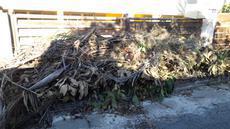 Picture of aulet
