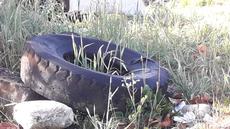Picture of aulet