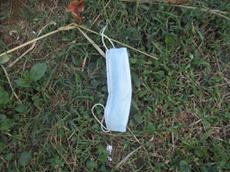 Picture of Ti Tang'