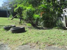 Picture of Ti Tang'