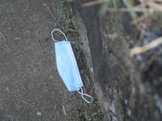 Picture of Ti Tang'