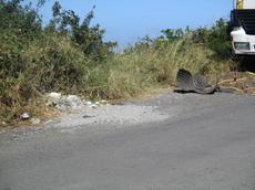 Picture of Ti Tang'