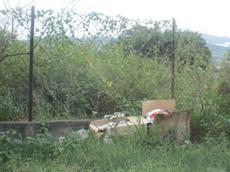 Picture of Ti Tang'