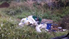 Picture of aulet