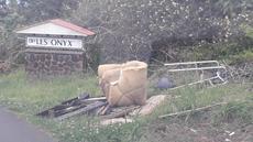 Picture of aulet