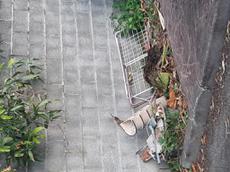 Picture of lareunion974