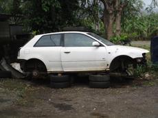 Picture of Ti Tang'
