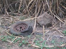 Picture of Ti Tang'