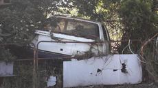 Picture of aulet