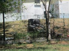Picture of Ti Tang'