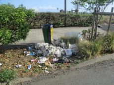 Picture of Ti Tang'