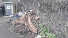 Picture of aulet