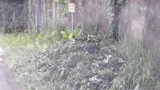 Picture of aulet