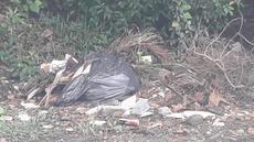 Picture of aulet