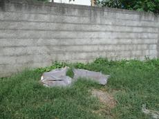 Picture of Ti Tang'