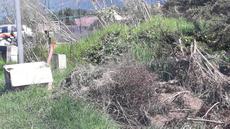 Picture of aulet