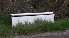 Picture of aulet