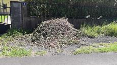 Picture of aulet