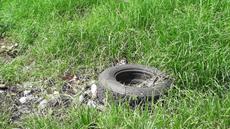 Picture of aulet