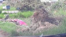 Picture of aulet