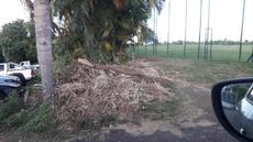 Picture of aulet