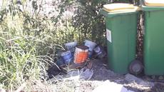 Picture of aulet