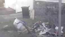 Picture of aulet