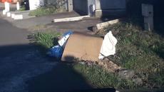Picture of aulet