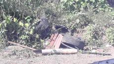 Picture of aulet