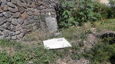Picture of aulet