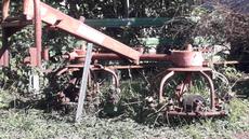 Picture of aulet