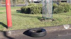 Picture of aulet