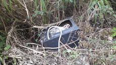 Picture of aulet