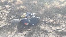 Picture of aulet