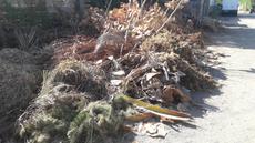 Picture of aulet